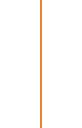 line-orange line-orange